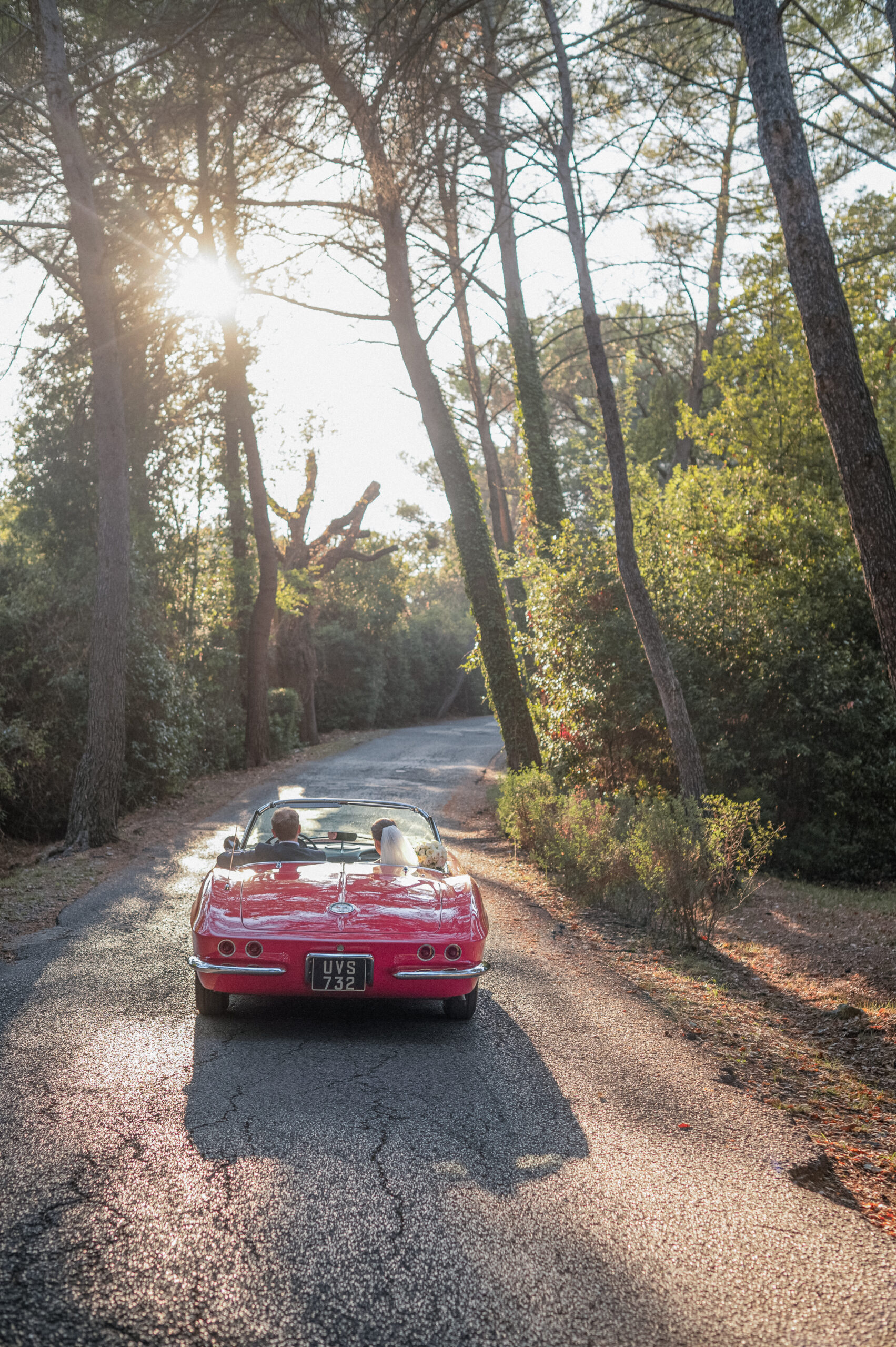 Voiture de collection sur une route bordée de pins